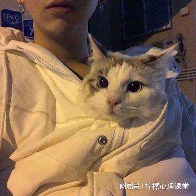 天天英雄九游版刷钻石版下载